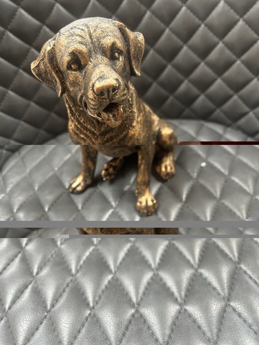 Bronzed sitting labrador dog - bronzed,