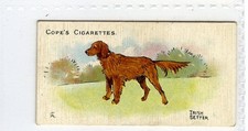 (Gd5580) Cope, Dogs of the World, (Scandinavian), #18 Irish Setter 1912 F-G