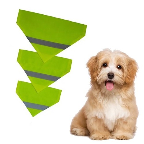 Vis yellow pet dog - pet,