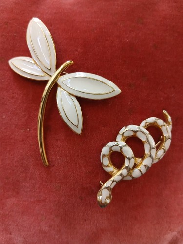 Ciro dragonfly brooch - ciro,