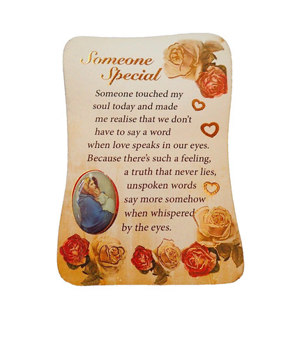 Fridge magnet someone special - magnet,