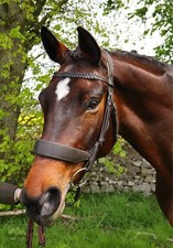 FSS Anatomical HUNTER Bridle Freeway Padded Flat CUT AWAY PLAITED BROWBAND P-XXX