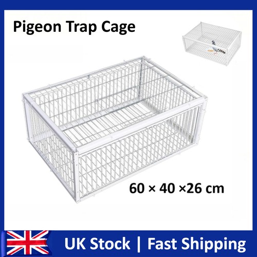 Pigeon trap cage portable - pigeon,