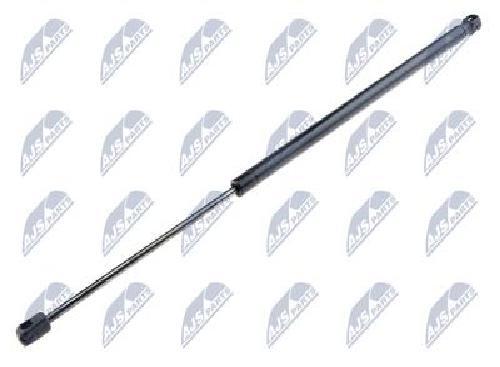 Original nty gas spring - nty,