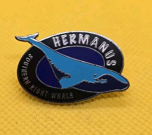 Pin badge hermanus - pin,
