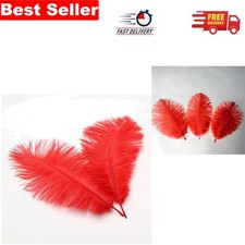 Pack of 10 Vibrant Red Ostrich