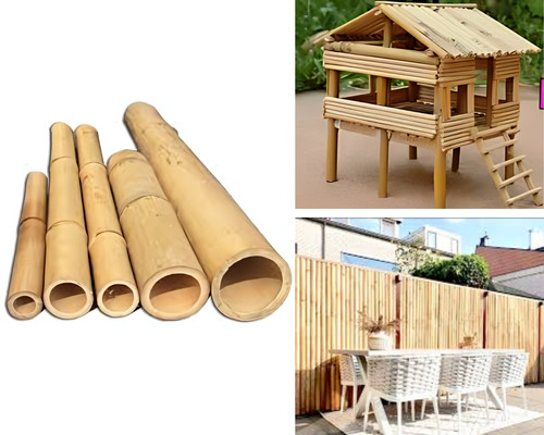 6ft bamboo canes - extra, strong