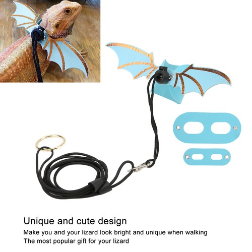 Lizard tank accessories - tank,