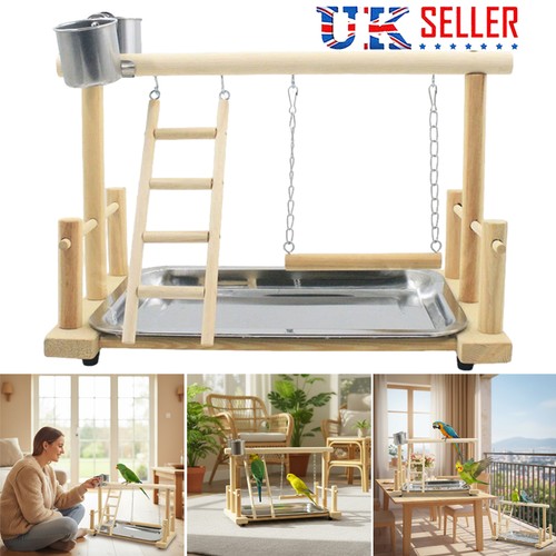 Parrots playstand bird - parrots,