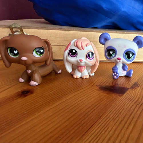 Authentic littlest pet - authentic, shop
