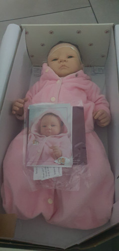 Ashton drake reborn - baby, doll