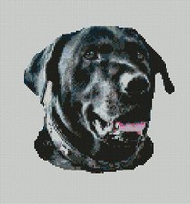 Black labrador dog head - black,