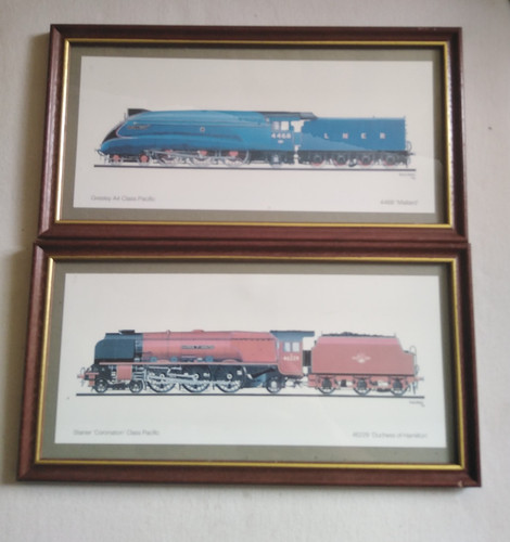 Stuart black train prints - black,