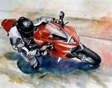Triumph Daytona 675 Motorcycle