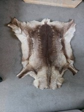 Large Premium Reindeer Hide