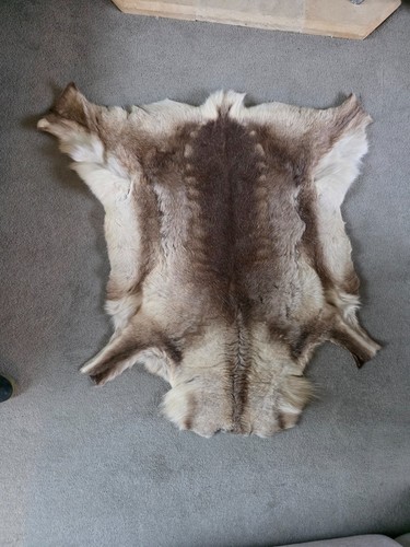 Large premium reindeer hide - premium,
