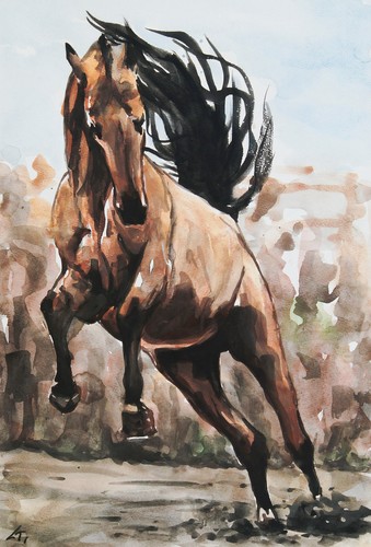 Original watercolor horse - original,