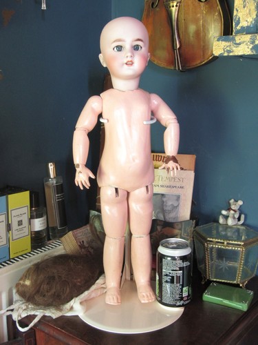 Antique french bisque doll - ,