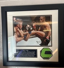 UFC 165 Framed Octagon Canvas