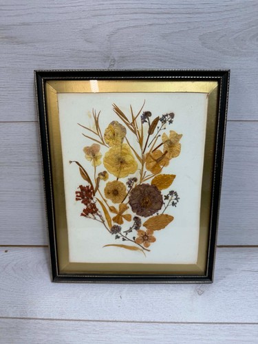 Vintage framed pressed - framed, flowers