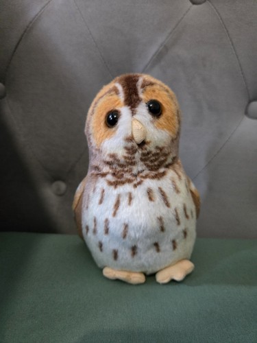 Wild republic birds - republic, tawny