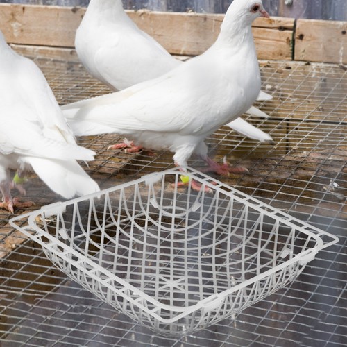 Pcs bird nest - pcs,