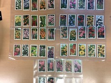Cigarette cards GALLAHER GARDEN FLOWERS set of 48