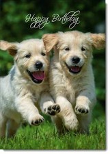 Doodlecards Happy Birthday