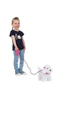 Fluffy Puppies Walking Poodle