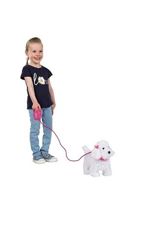 Fluffy puppies walking poodle - fluffy,