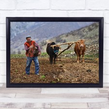 Countryside Farmer Seeds Ox Labor Work Wall Art Print