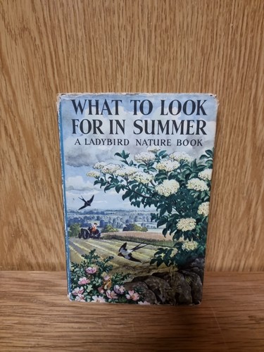 What look for - to, summer
