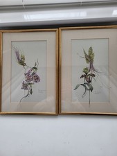 2 SIGNED GLENDA RAE FAIRY WATER COLOUR PRINTS FRAMED