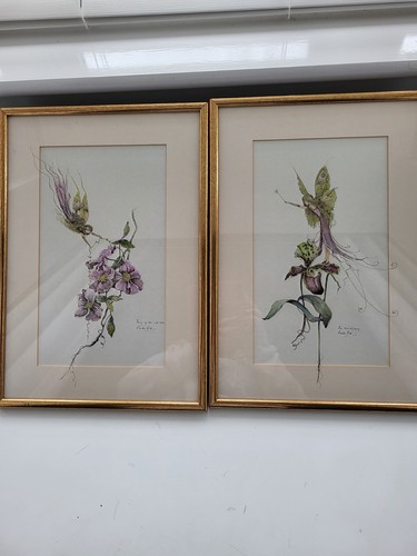 Signed glenda rae fairy - glenda,