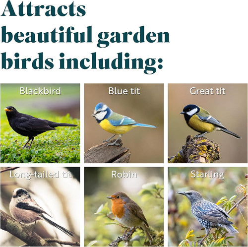 Rspb fat balls - -, bird