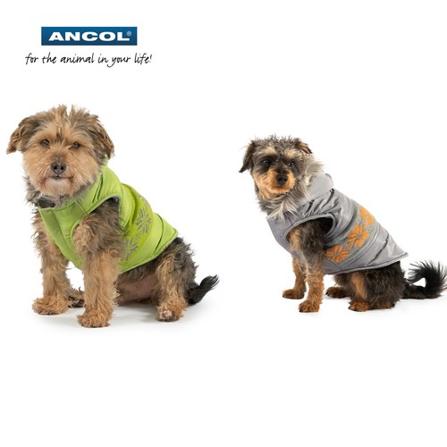 Ancol muddy paws - ancol, dog