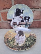 Two Royal worcester bone china