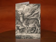 Stag by Samuel Howitt (1823) - A5 Art Print Greeting Card
