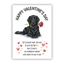 Black Flat Coated Retriever
