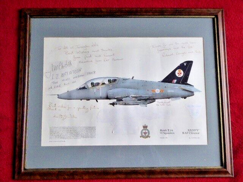 Framed litho print raf - framed,