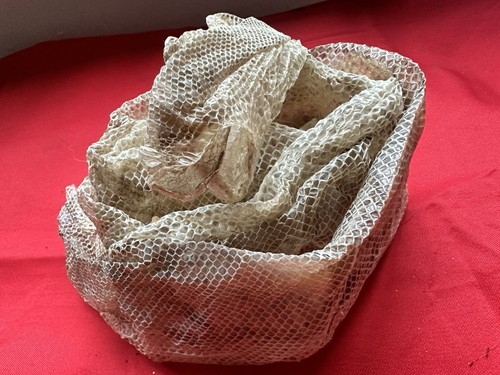Jungle boa imperator shed - boa,