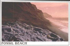 FOSSIL BEACH, CHARMOUTH, Dorset - Vintage POSTCARD