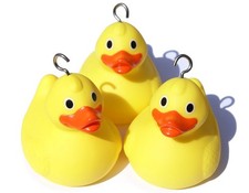10 Weighted Race Ducks - for