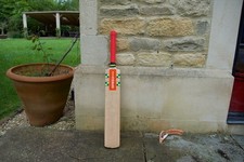 Gray nicolls omega xrd cricket - omega,