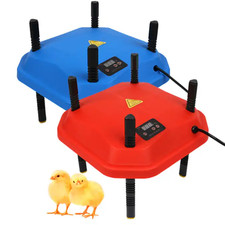 Chicken poultry brooder heater - poultry,