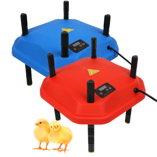 Chicken poultry brooder heater - chicken,