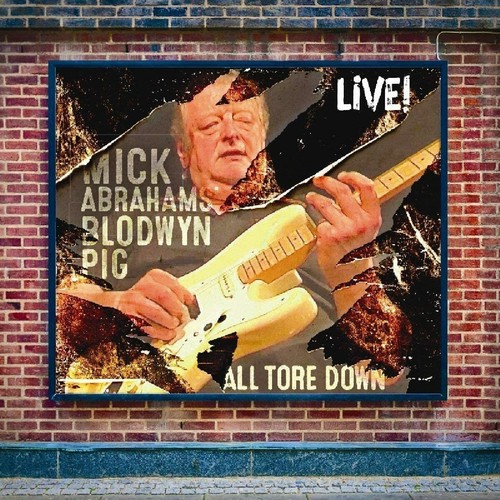 Mick abrahams blodwyn pig - ,
