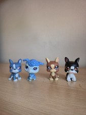 Littlest pet shops poodle - pet,