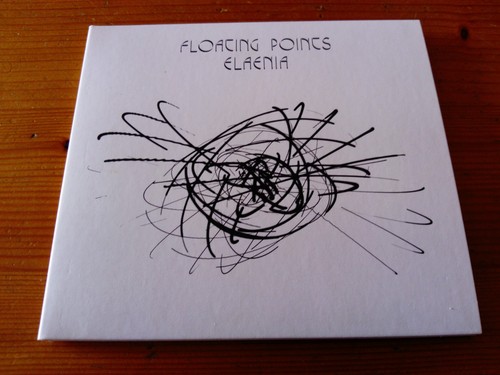 Floating points elaenia - elaenia, 7