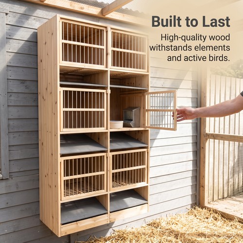 Bird breeding cage indoor - bird,